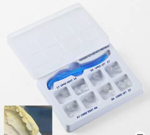 posterior teeth aesthetic printing kit ( preformed stamp technique)